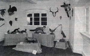 Jagdzimmer 1-300x189 in Objekte im alten Jagdhaus