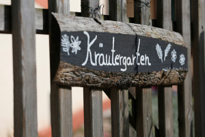  in Kräutergarten 2018